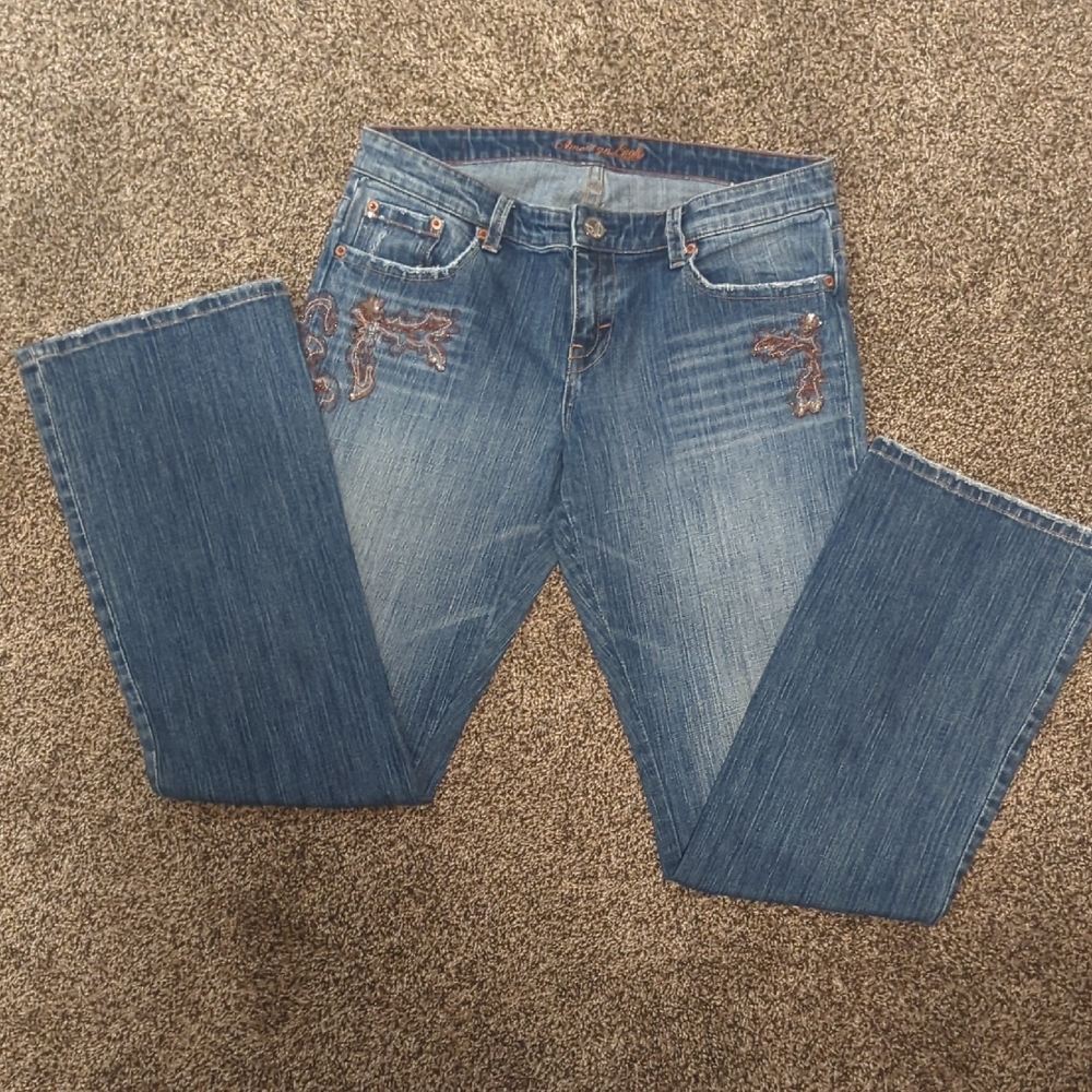 American Eagle Outfitters Blue Embroidered Straight Leg Jeans